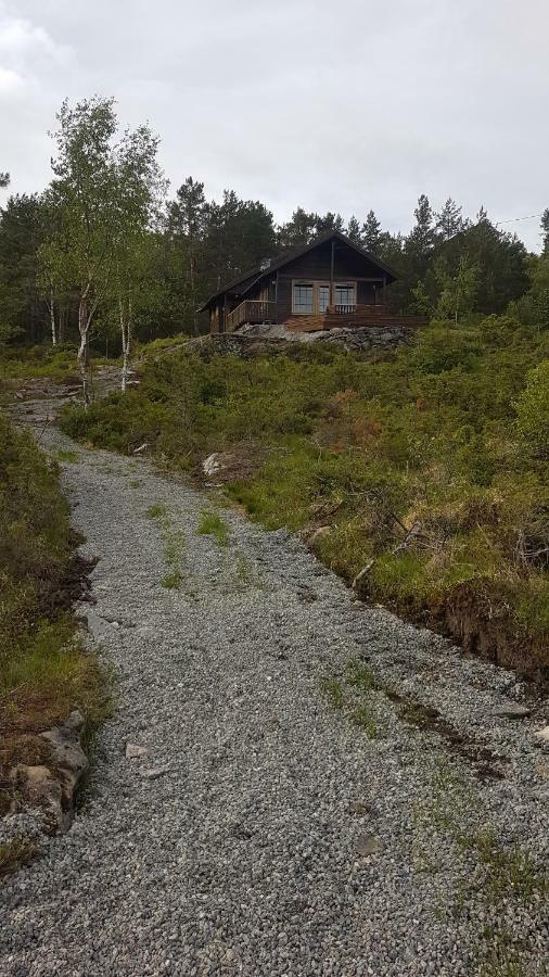 Molvik Hytten Villa Ostereidet Exterior foto