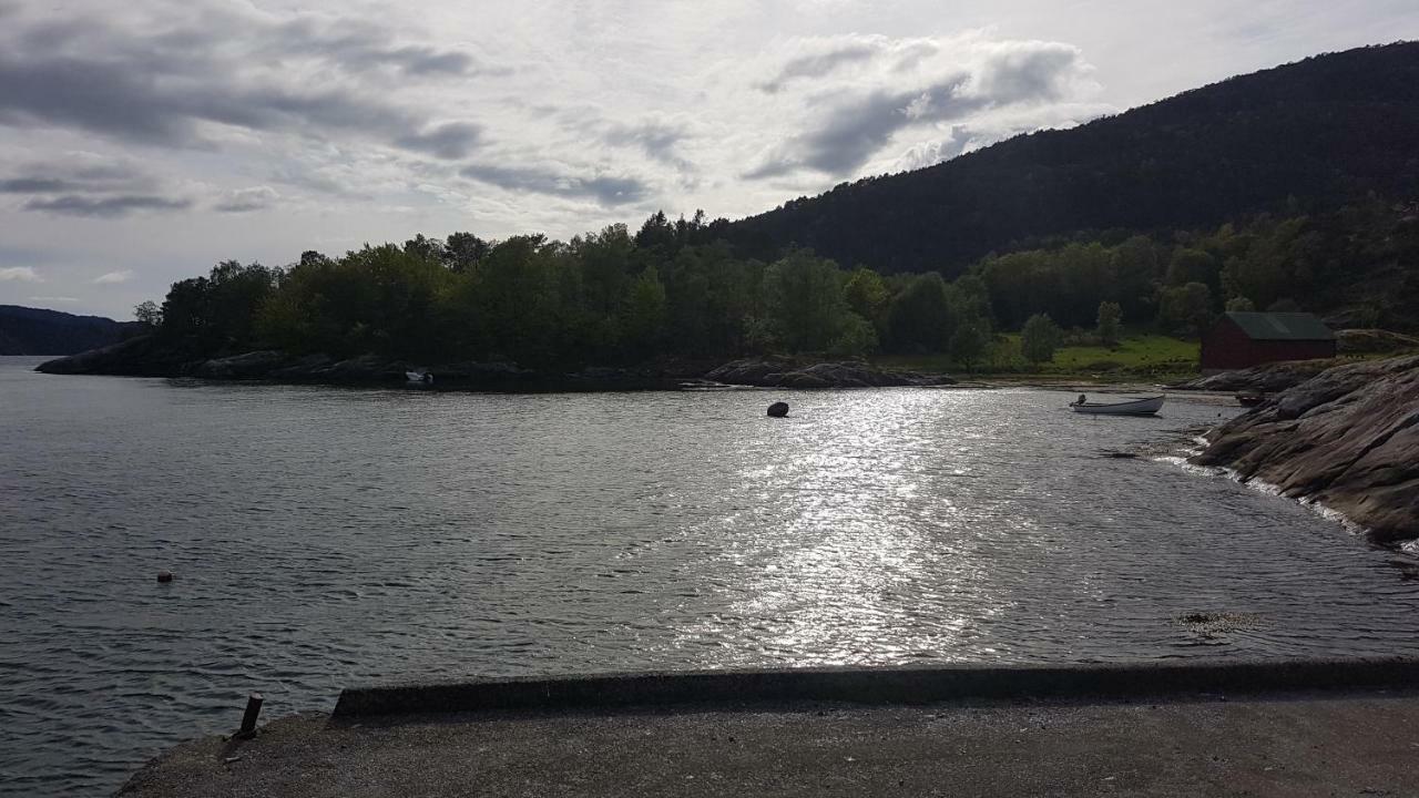 Molvik Hytten Villa Ostereidet Exterior foto
